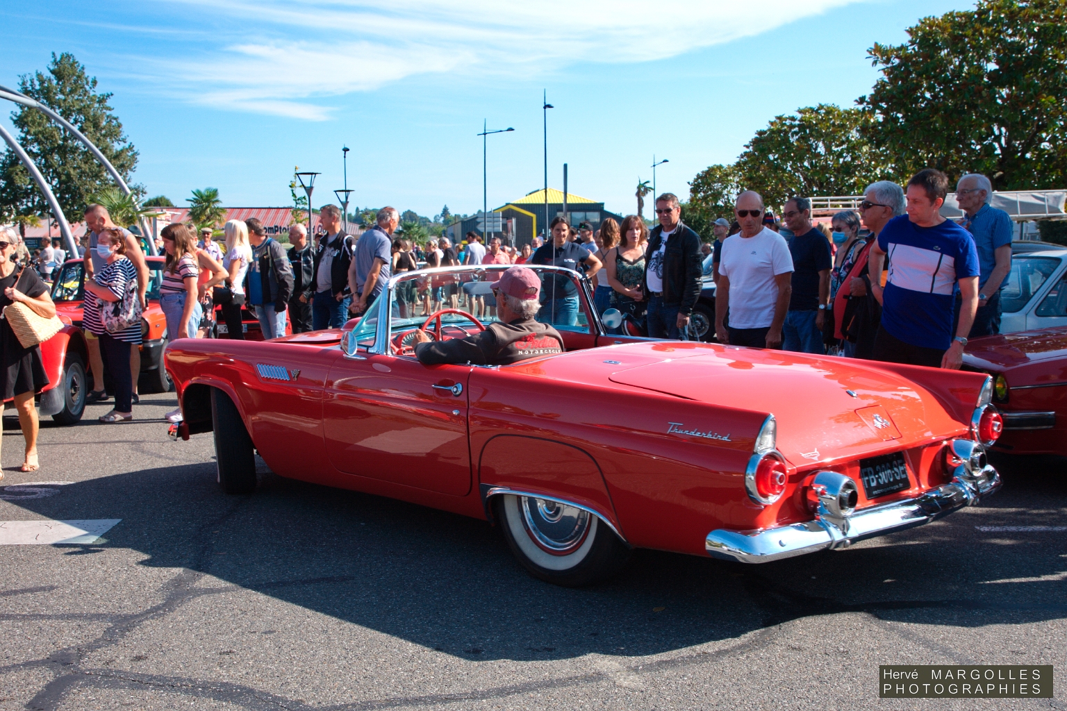 Ford Thunderbird-01.jpg